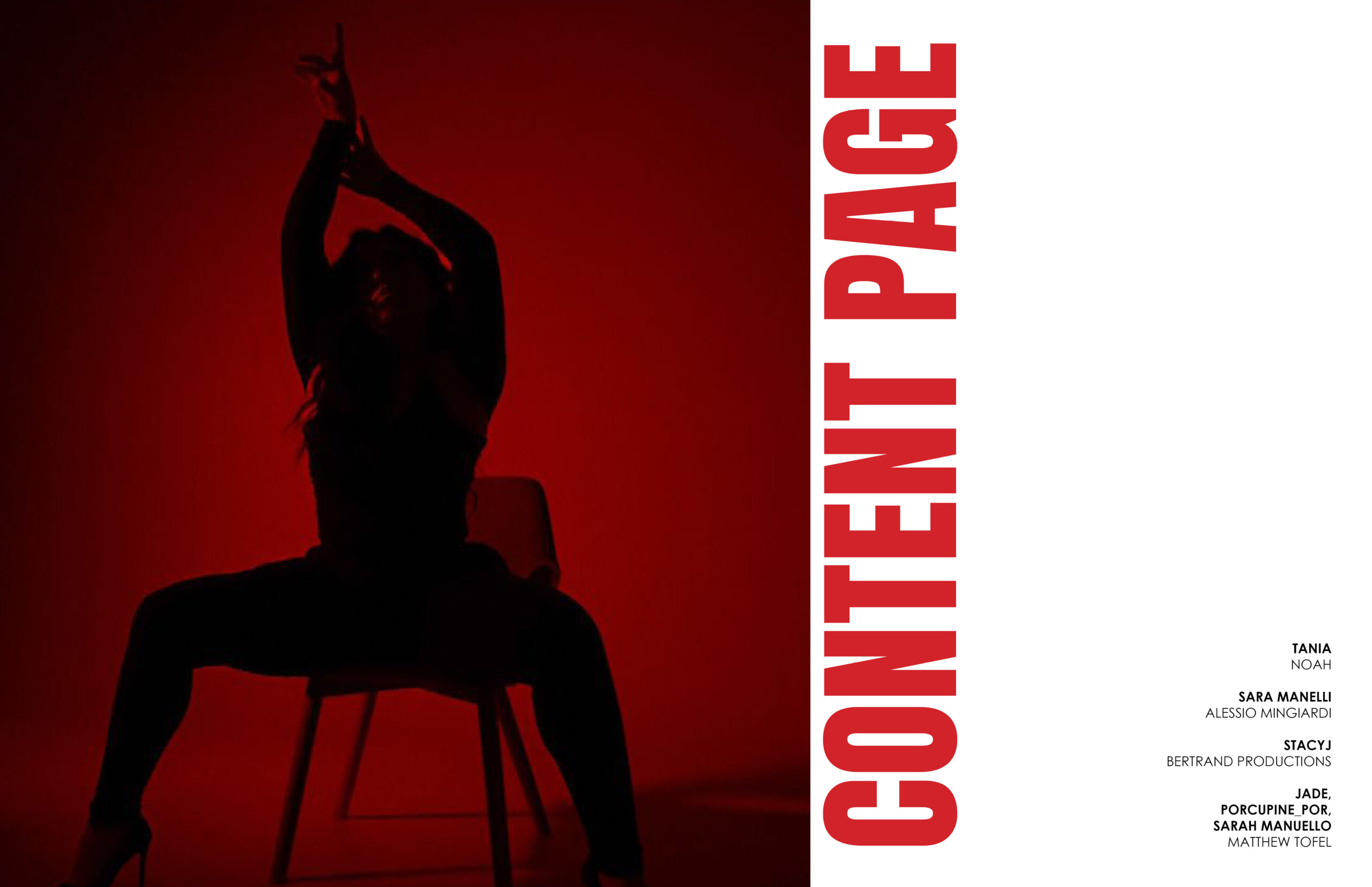 Boudoir Edition Feb. 2026 Vol 546 - Image 2